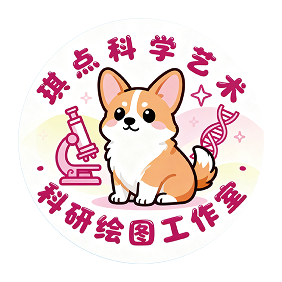 琪点科学艺术科研绘图工作室